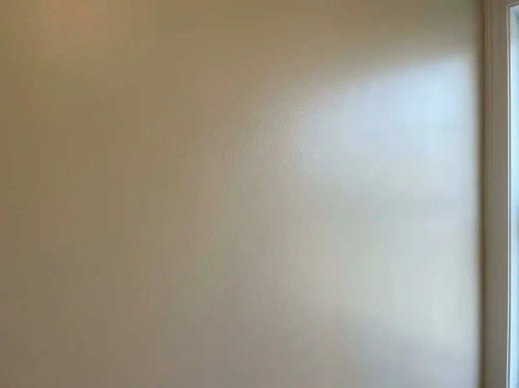 Close-up of a warm neutral wall in a north-facing room