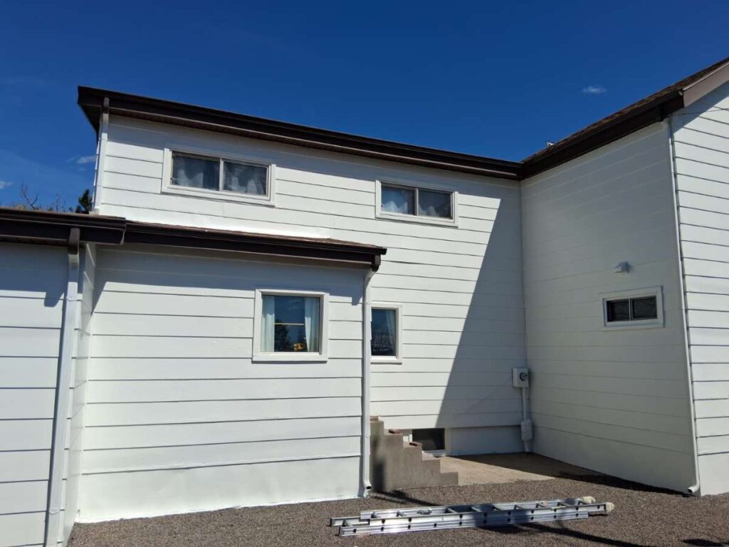 Residential Painting Project