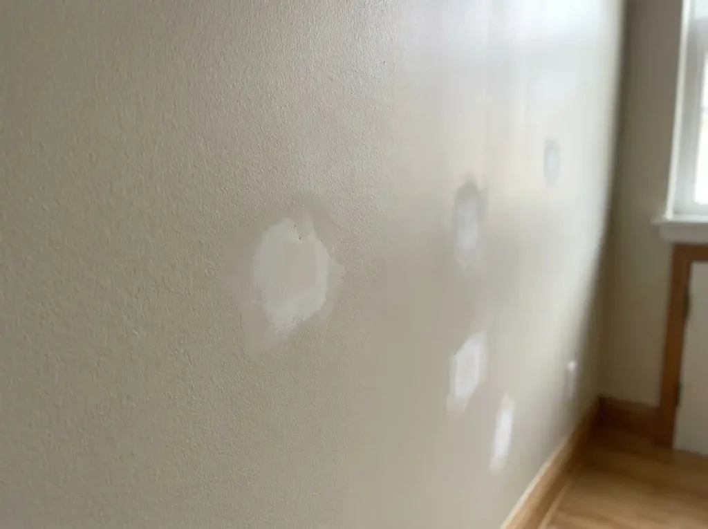 Apartment Need Primer